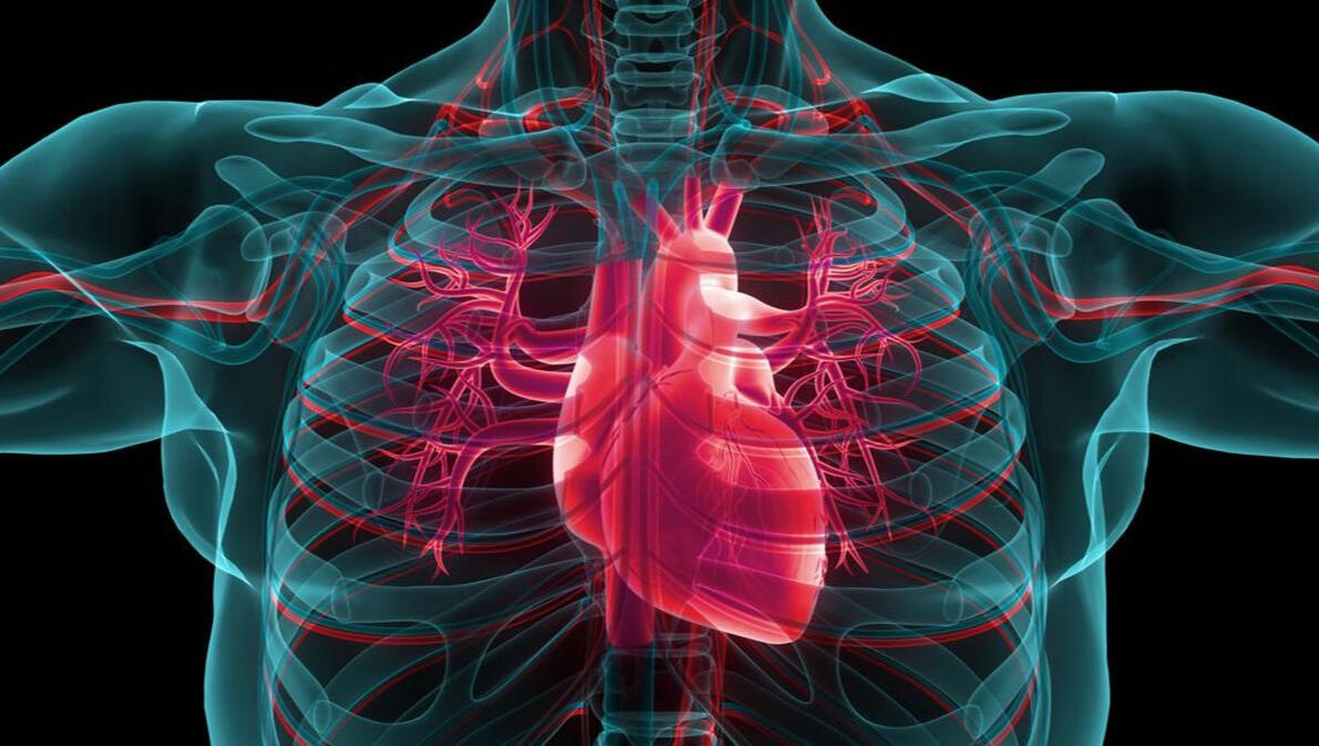 Predictive analysis Heart Disease Prediction